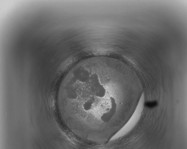 X0000064740687200602131316