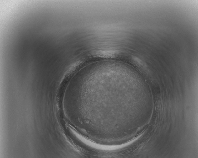 X0000064740688200602131316