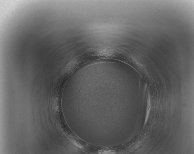 X0000064740689200602131316