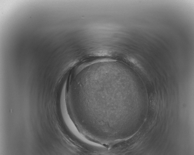 X0000064740692200602131316