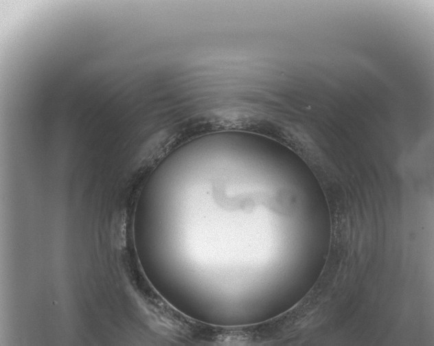 X0000064740694200602131316