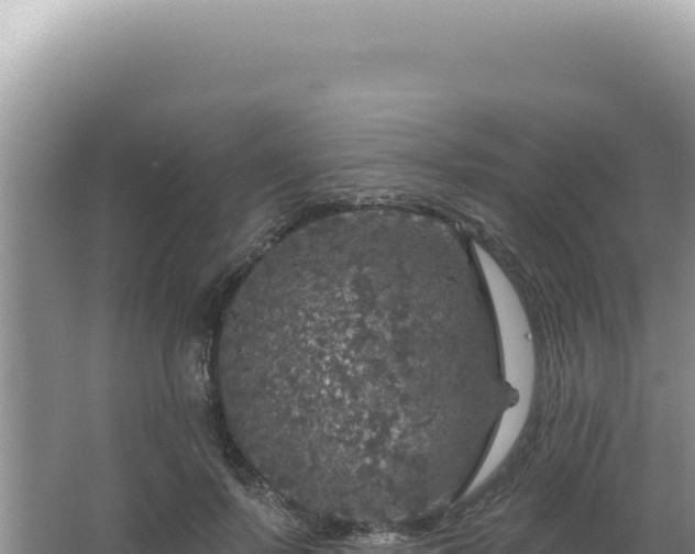 X0000064740695200602131316