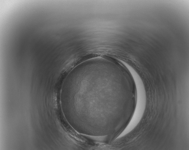 X0000064740696200602131316