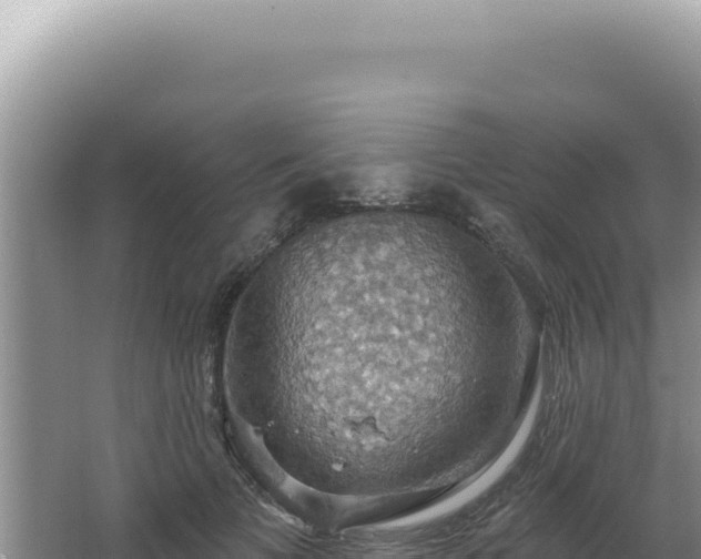 X0000064740697200602131316