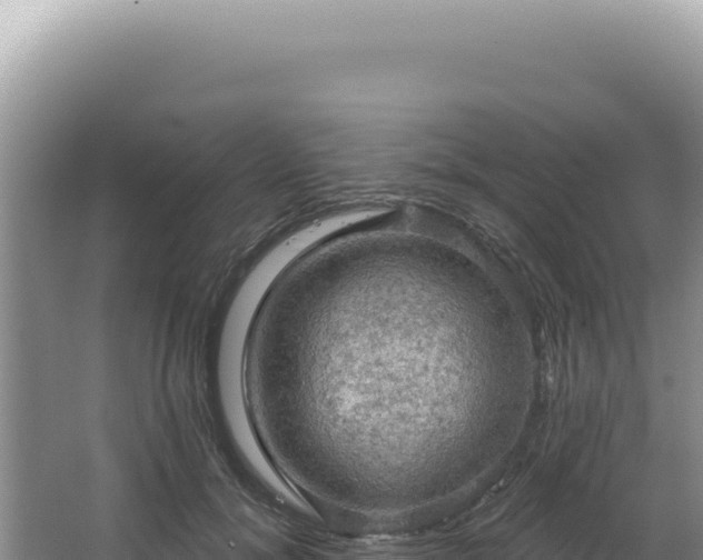 X0000064740700200602131316