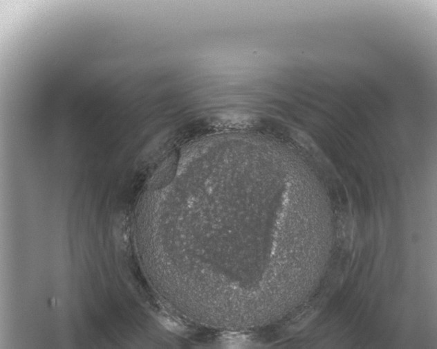 X0000064740701200602131316