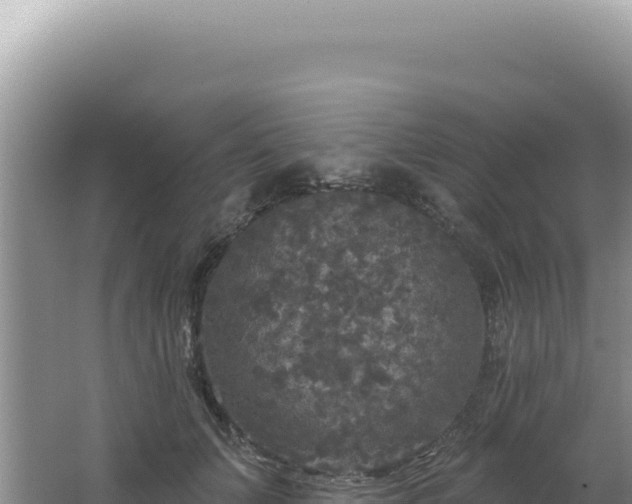 X0000064740703200602131316