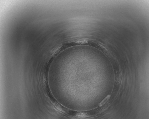 X0000064740704200602131316