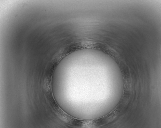 X0000064740705200602131316