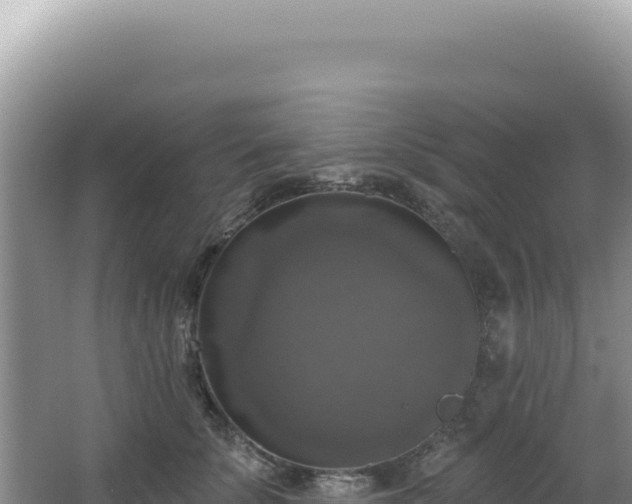 X0000064740707200602131316