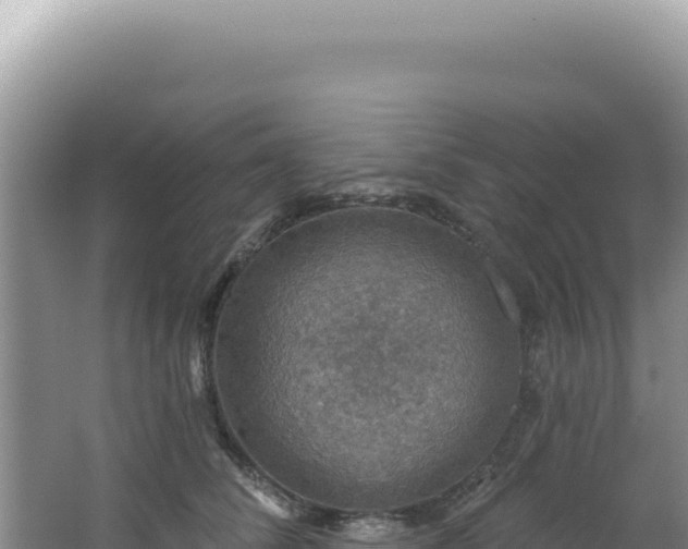 X0000064740708200602131316