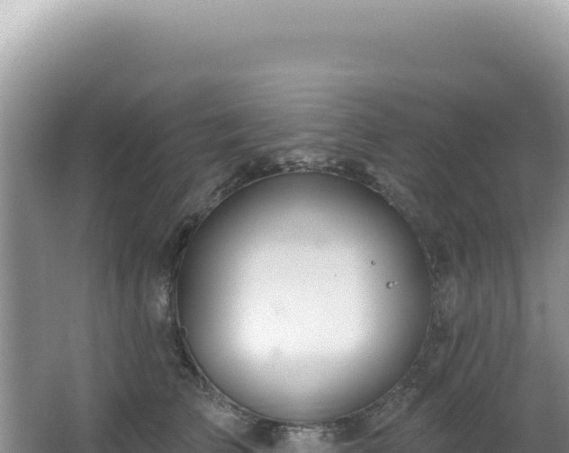 X0000064740709200602131316