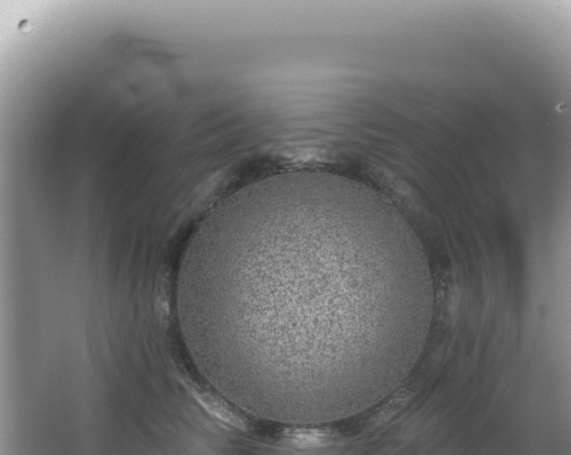 X0000064740710200602131316