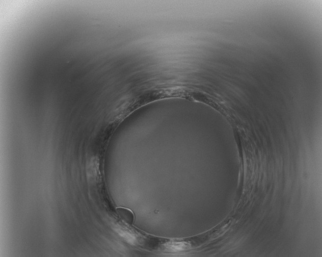 X0000064740711200602131316