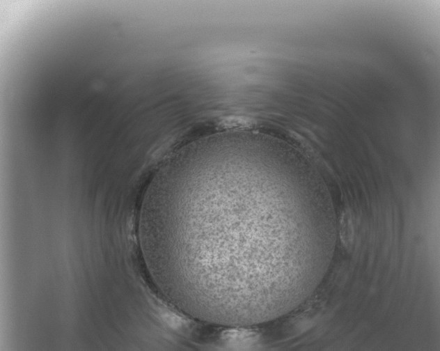 X0000064740714200602131316