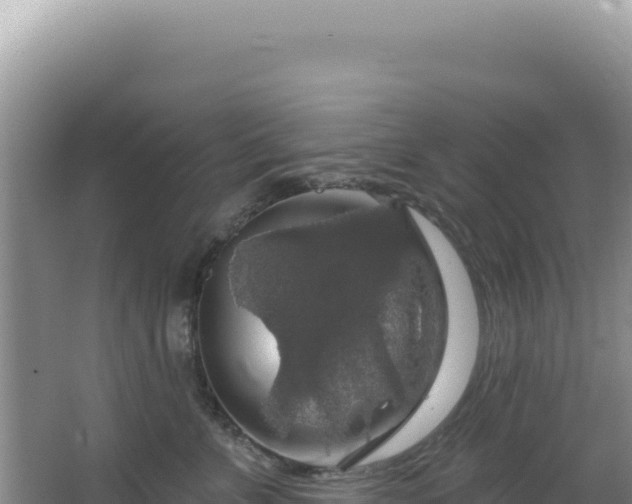 X0000064740715200602131316