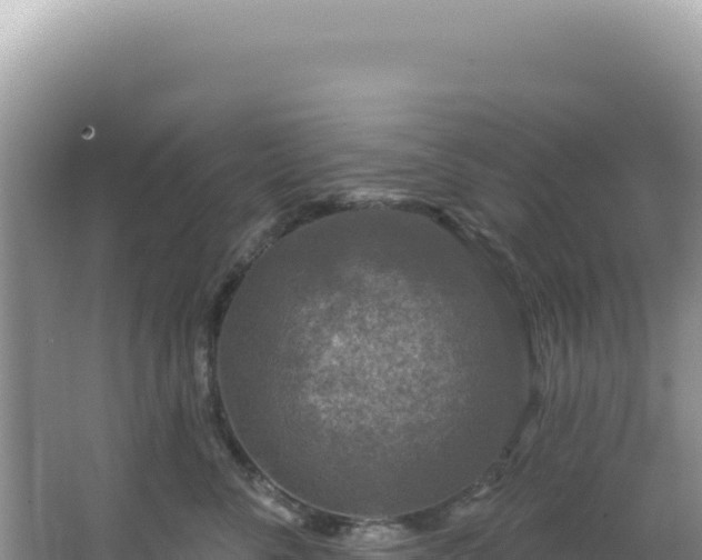 X0000064740716200602131316