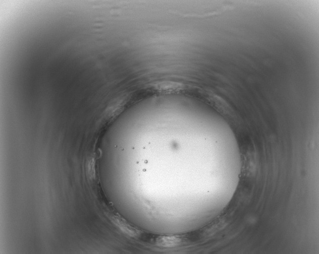 X0000064740717200602131316