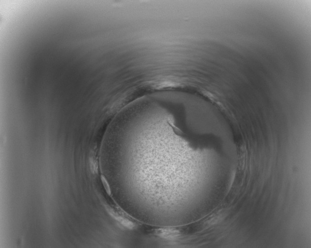 X0000064740719200602131316