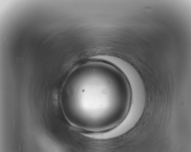 X0000064740720200602131316