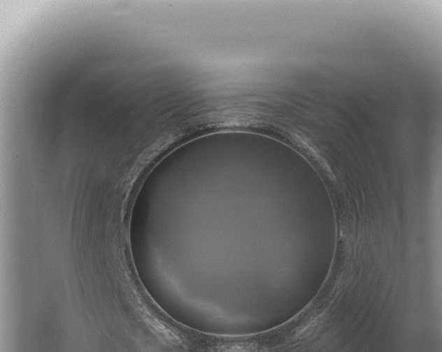 X0000064740721200602131315