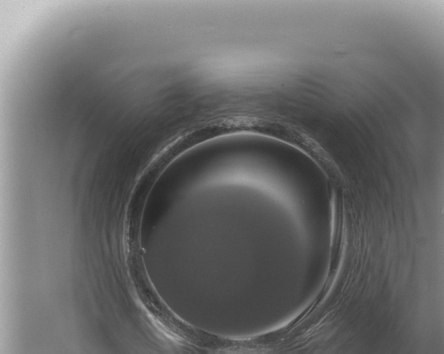 X0000064740722200602131315