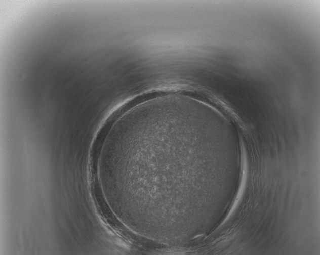 X0000064740724200602131315