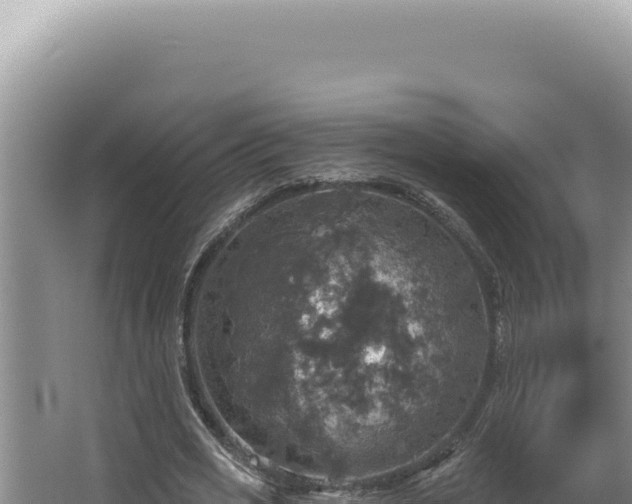 X0000064740725200602131315