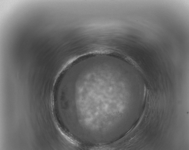 X0000064740726200602131315