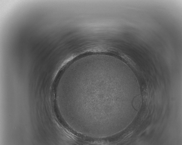 X0000064740727200602131315