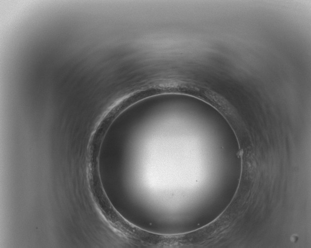 X0000064740728200602131315