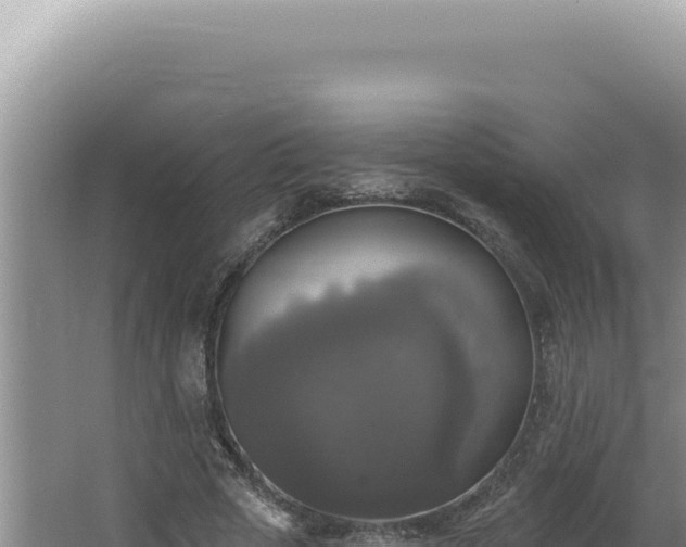 X0000064740729200602131315