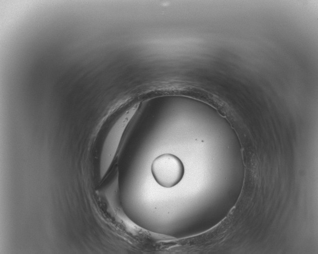 X0000064740731200602131315