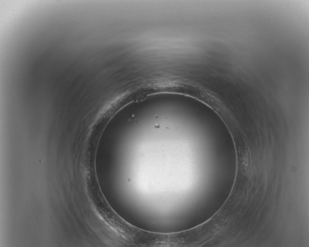 X0000064740732200602131315