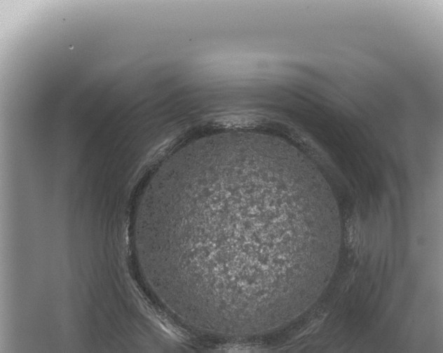 X0000064740733200602131315