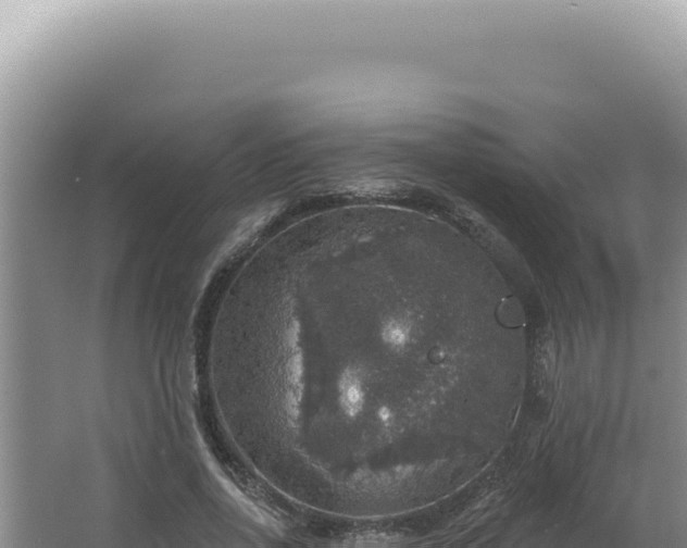 X0000064740734200602131315