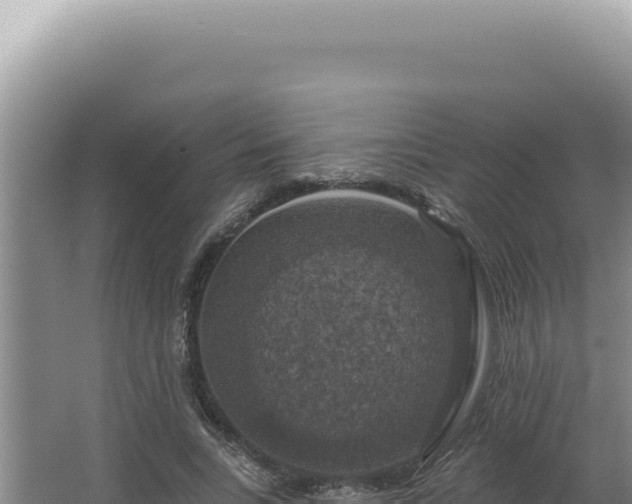 X0000064740735200602131315