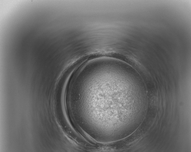 X0000064740736200602131315