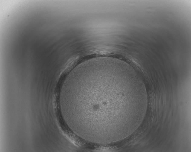 X0000064740738200602131315