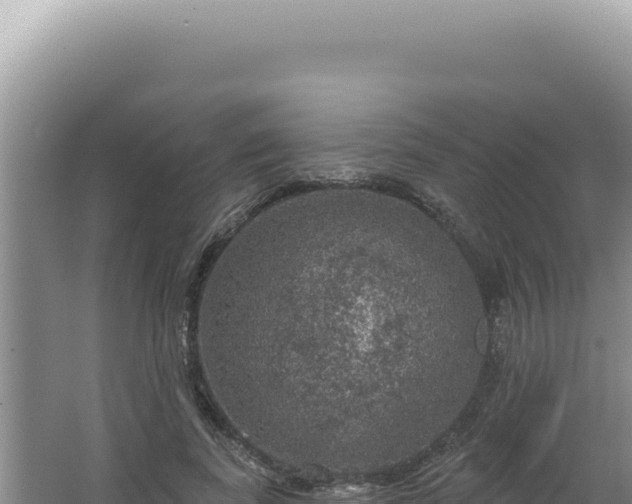 X0000064740739200602131315