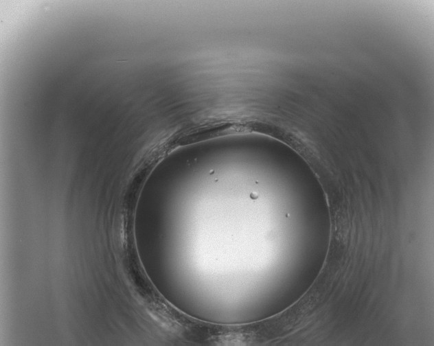 X0000064740740200602131315