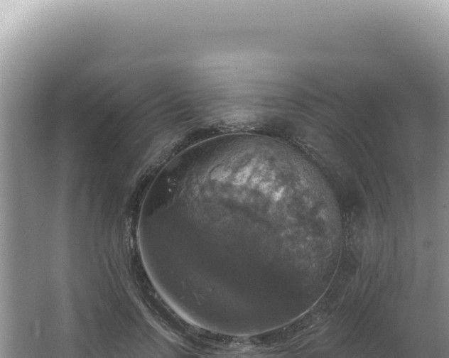 X0000064740742200602131315