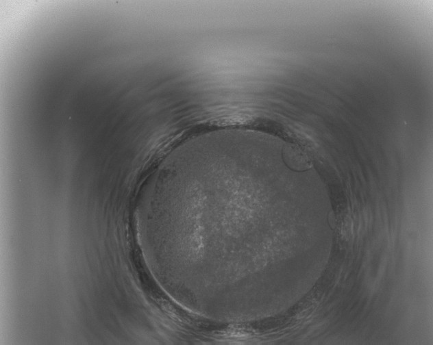 X0000064740743200602131315