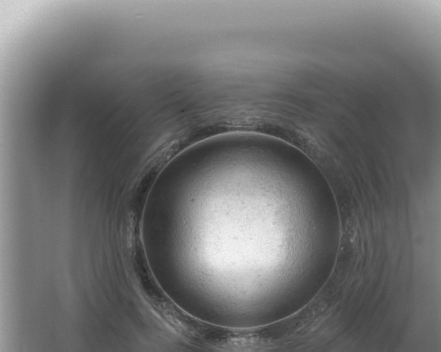 X0000064740744200602131315