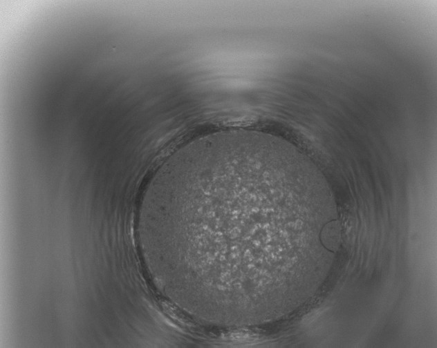 X0000064740745200602131316