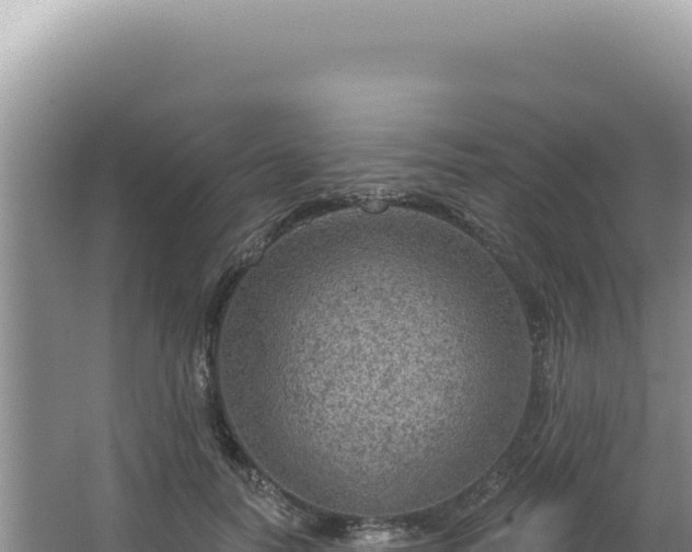 X0000064740746200602131316