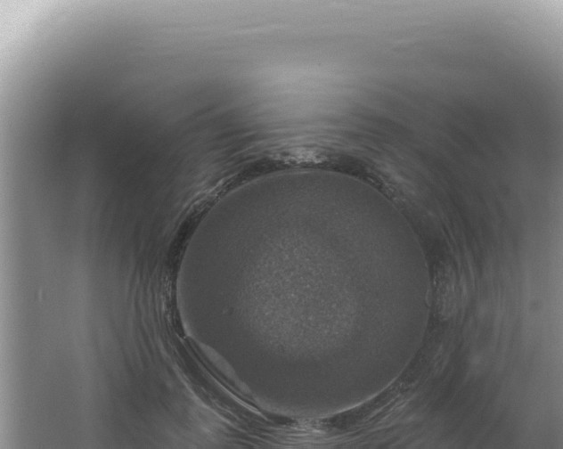 X0000064740747200602131316