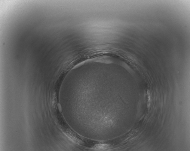 X0000064740748200602131316