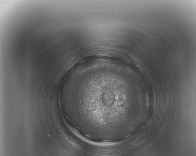 X0000064740750200602131316