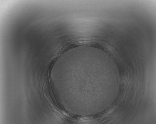 X0000064740751200602131316